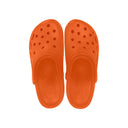 CHOLA RS FLYERS 23014