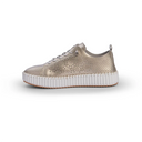 SPORT FASHION KRIZA 4090