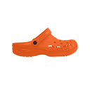 CHOLA RS FLYERS 23014